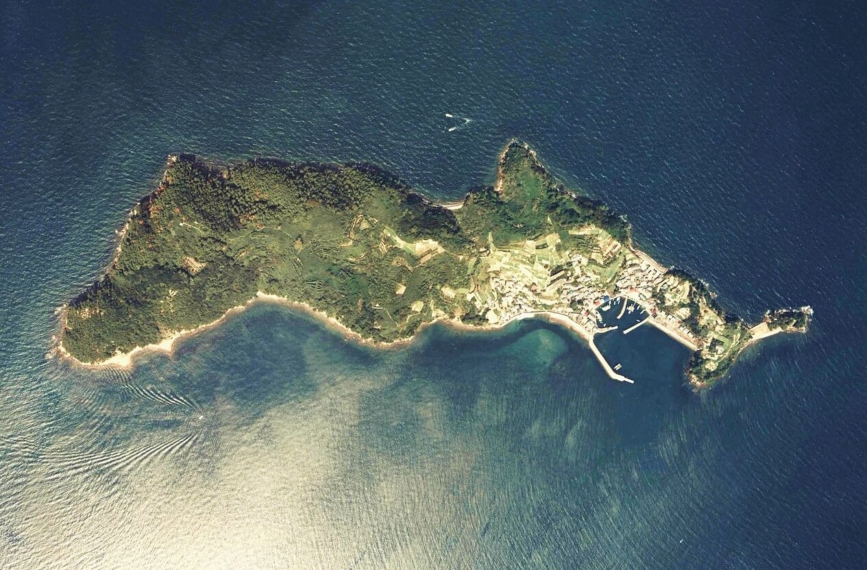 Маленький остров Японии. Вид на остров Аосима сверху. Источник изображения: wikipedia.org. Фото.