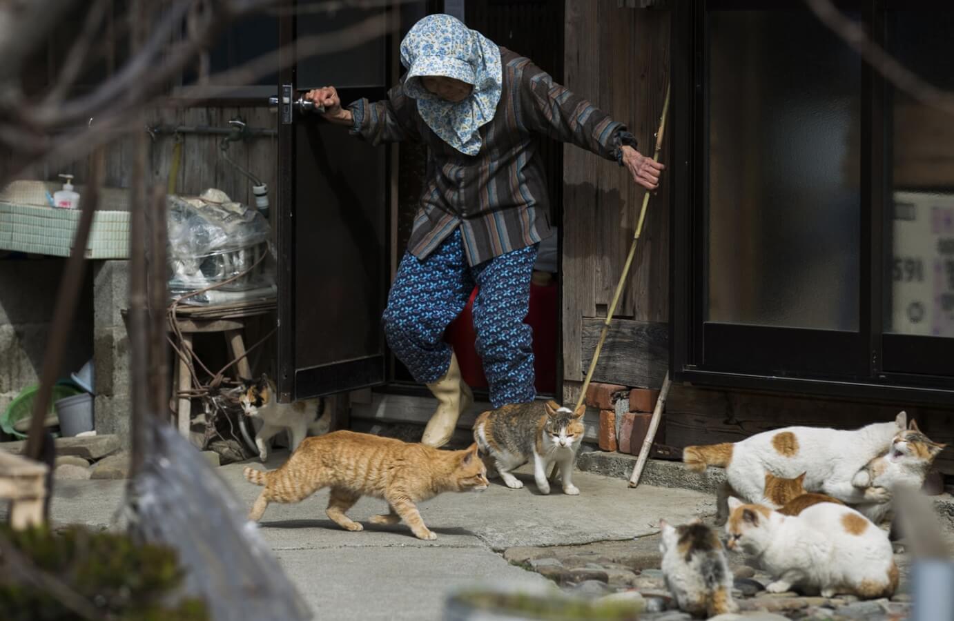 Маленький остров Японии. На острове Аосима остались только пожилые люди. Источник изображения: businessinsider.com. Фото.