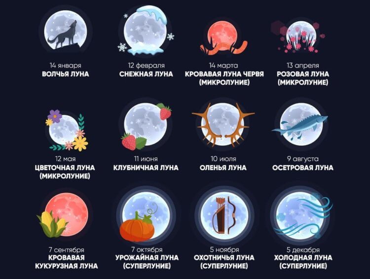Почему полнолуние в мае называют Цветочной Луной. Названия всех полнолуний связаны с природными особенностями, характерными для определенного месяца. Источник изображения: starwalk.space. Фото.