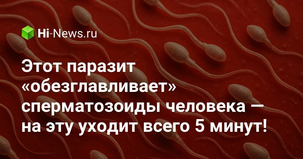 Porno leotard rasmlar Uzun boyli, uzun oyoqli eshak porno