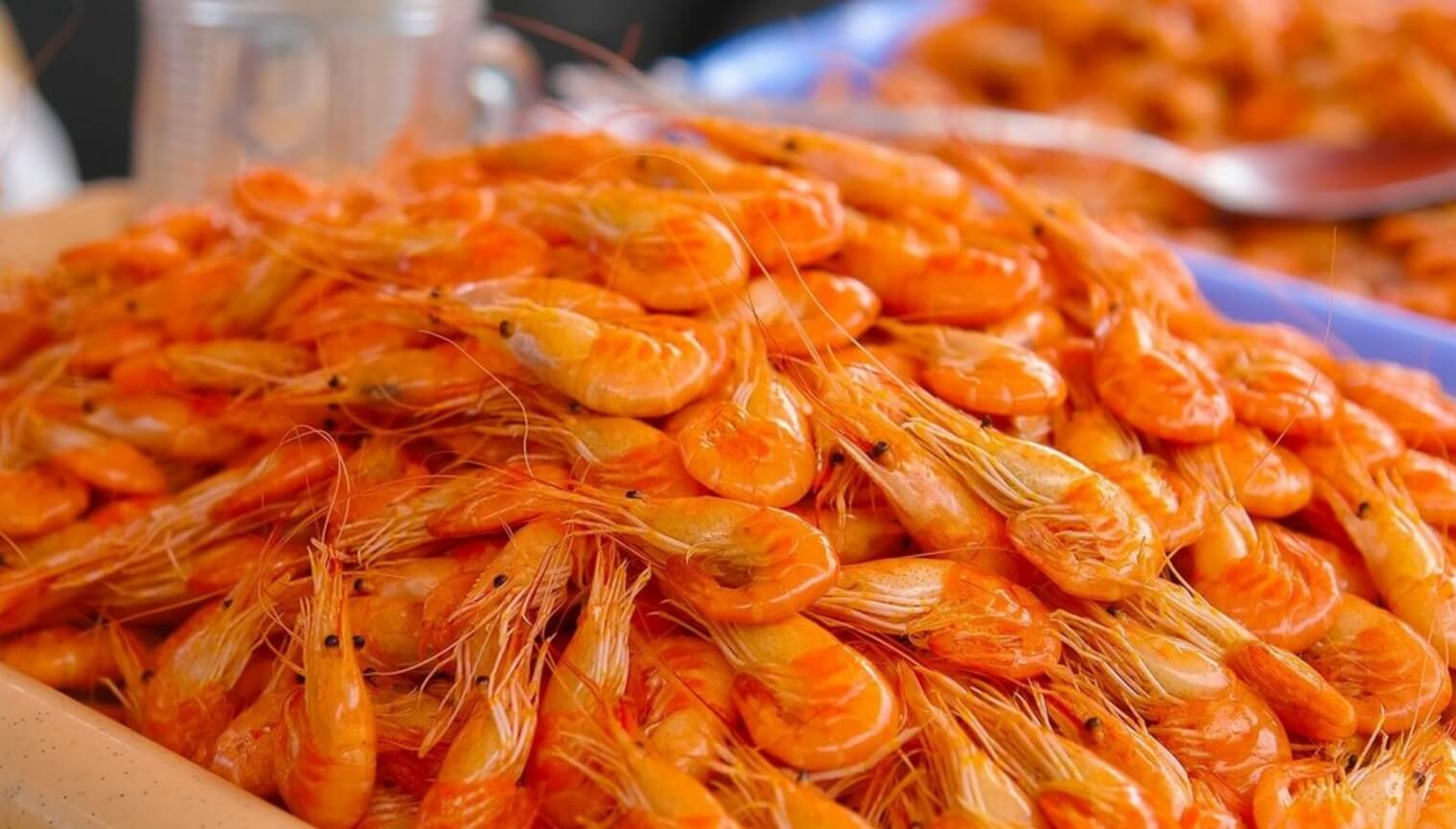 Черноморские креветки имеют небольшие размеры, но насыщенный вкус. Фото.