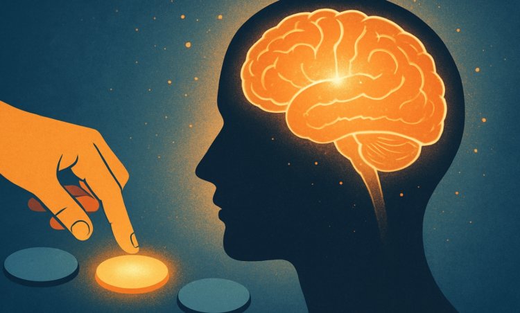 Как мозг подсказывает решения за секунду до того, как вы их осознаете. Мозг делает выбор еще до того, как мы принимаем решение. Как мозг подсказывает решения за секунду до того, как вы их осознаете. Мозг делает выбор еще до того, как мы принимаем решение. Фото.