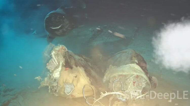 Что происходит на дне морей<div class=