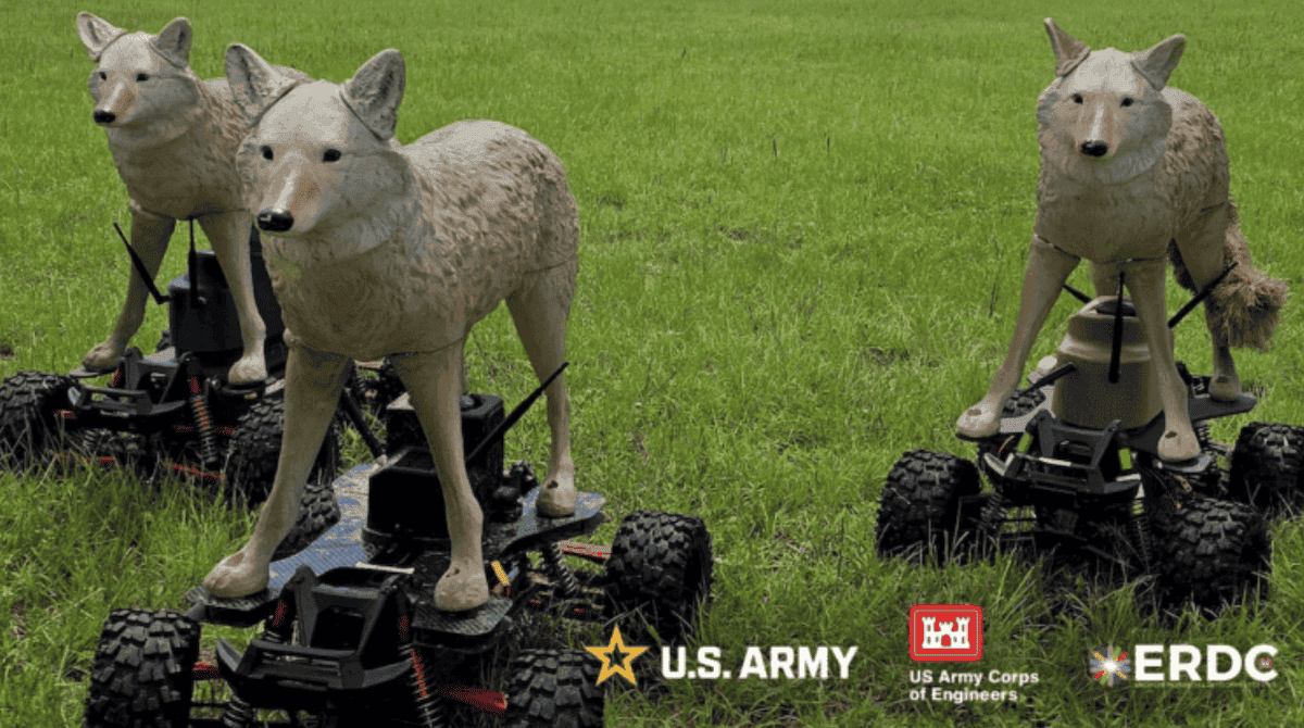 Такие робо-кайоты действительно хорошо пугают птиц. Фото.