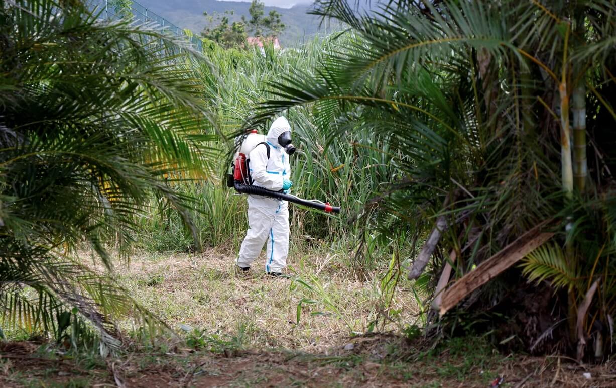 Вспышка вируса чикунгунья в Китае. Специалист по борьбе с переносчиками вируса в рамках кампании по борьбе с пандемией чикунгуньи. Источник фотографии: independent.co.uk. Фото.