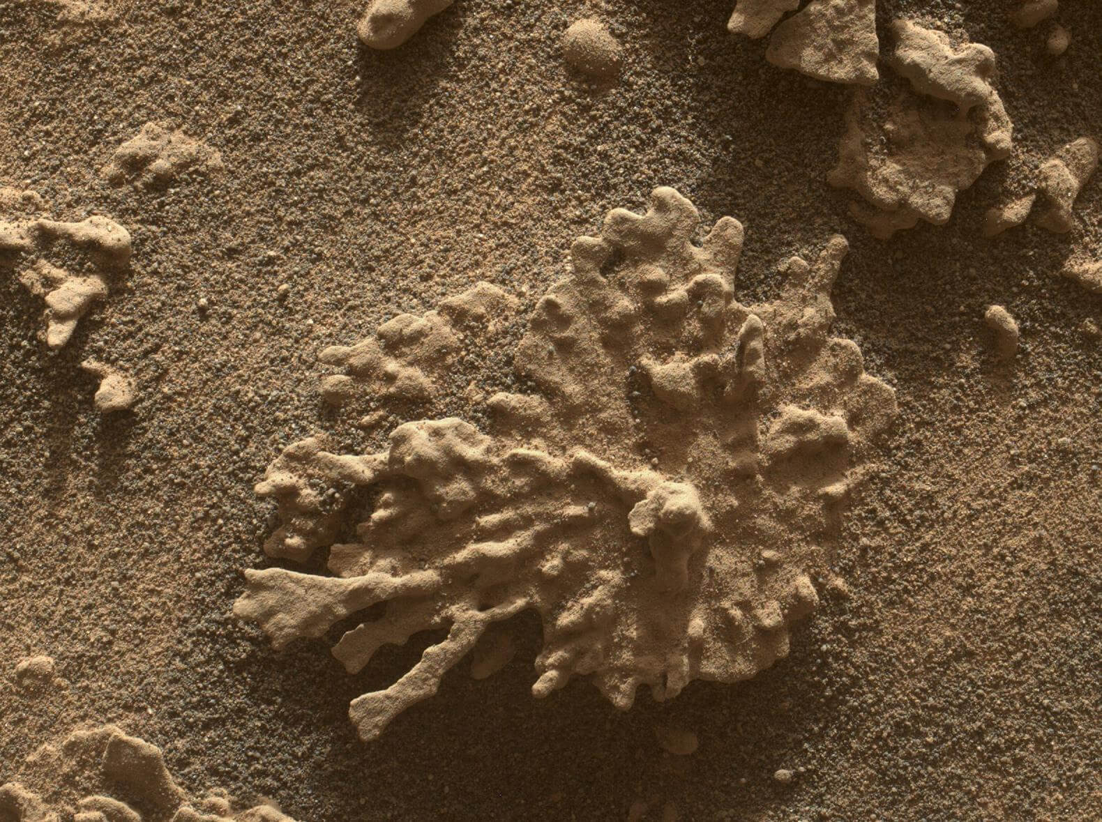 Curiosity нашел на Марсе камень, похожий на коралловый риф
