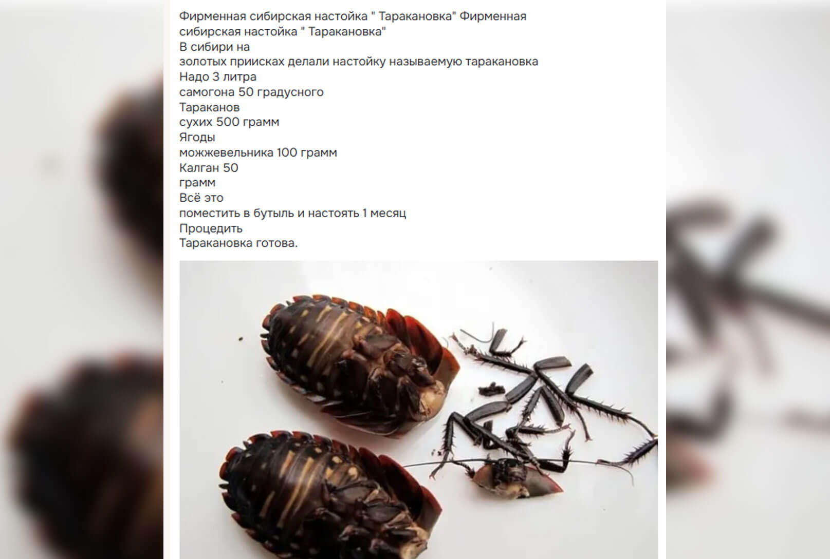 Что такое таракановка. В интернете гуляют шуточные рецепты с настаиванием самогонки на сушёных тараканах, но это фольклор. Скриншот из ok.ru. Что такое таракановка. В интернете гуляют шуточные рецепты с настаиванием самогонки на сушёных тараканах, но это фольклор. Скриншот из ok.ru. Фото.