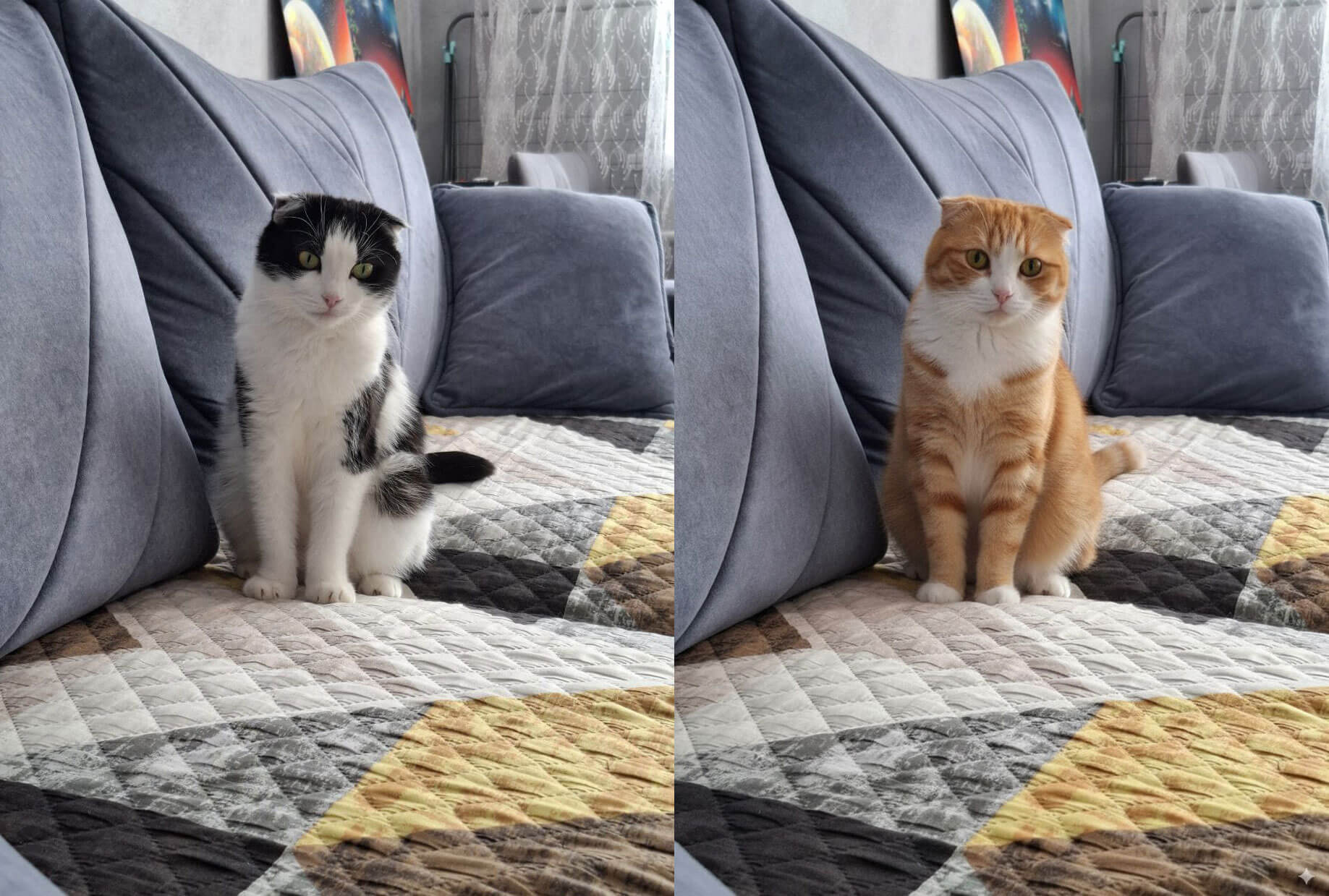 Нейросеть для обработки фото от Google. Промт: сделай кошку рыжей. Фото.