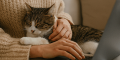 Почему коты любят садиться на ноутбуки и как с этим быть? Фото.