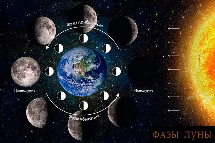 Какие бывают фазы Луны. Фазы Луны. Источник изображения: darmaga.ru. Фото.