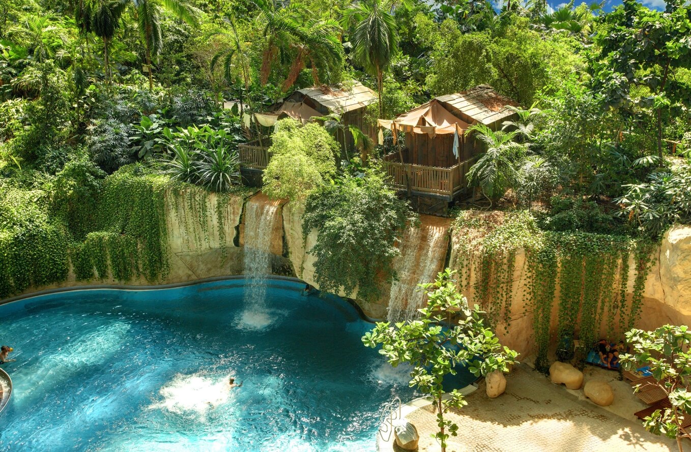 Лечение и вакцинация против чикунгуньи. Опасным вирусом могут заразиться люди, отдыхающие в тропиках. Источник фотографии: wikimedia.org. Фото.