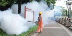 В Китае ввели карантин из-за вируса чикунгунья: ждать ли этого в России? Фото.