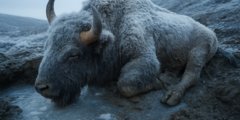 Что будет, если съесть мясо бизона возрастом 50 тысяч лет? Ученые провели эксперимент. Фото.