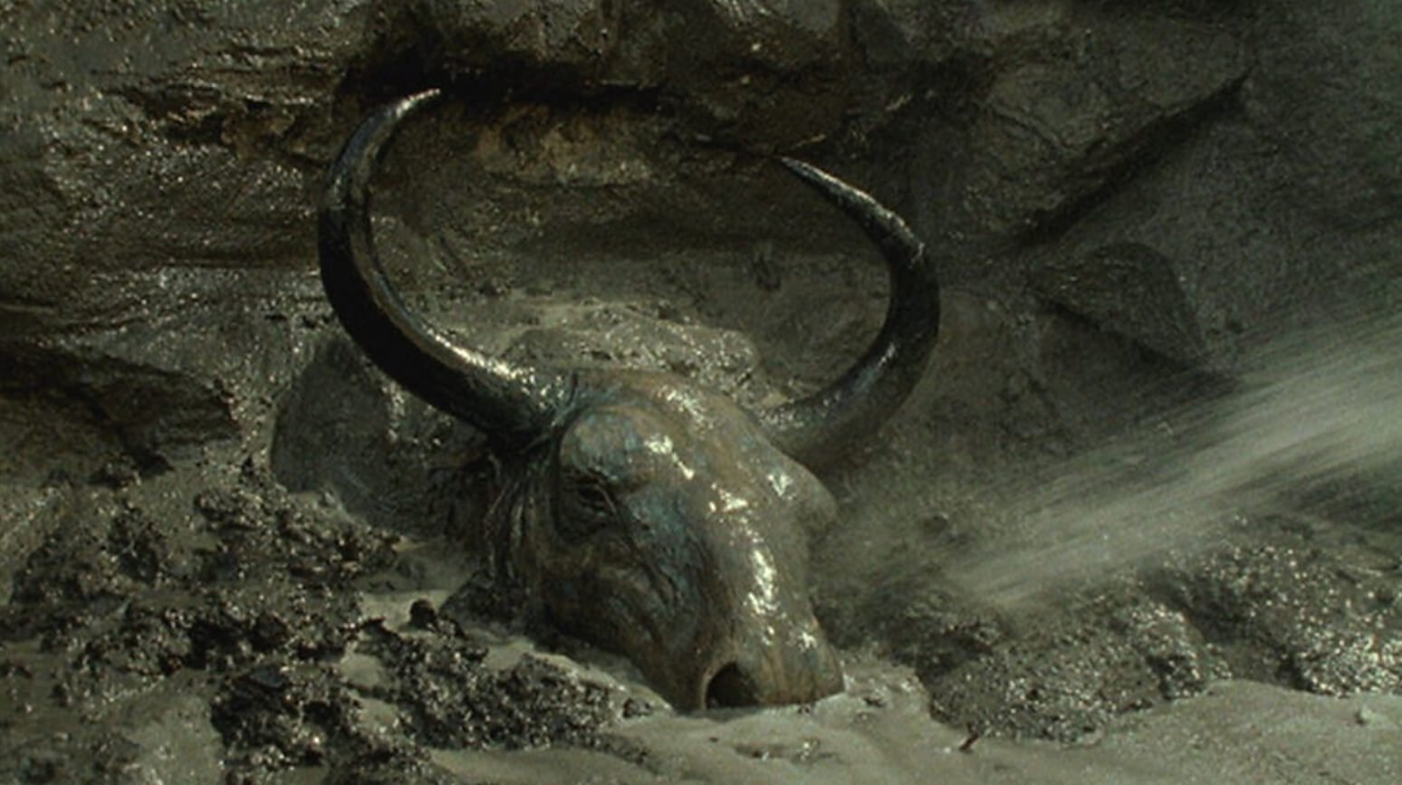 Бизон Blue Babe пролежал 50 тысяч лет во льдах. Источник: bbci.co.uk. Фото.