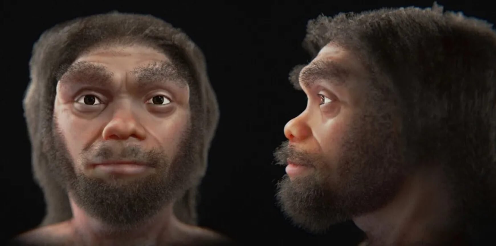 Homo longi и новые связи в древе эволюции. Homo longi оказался нашим ближайшим родственником. Источником: www.iflscience.com. Фото.