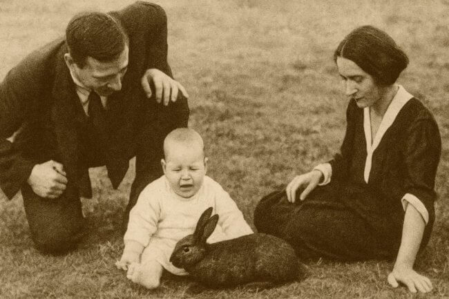 Маленький Альберт: история жестокого эксперимента, который изменил психологию. Фото.