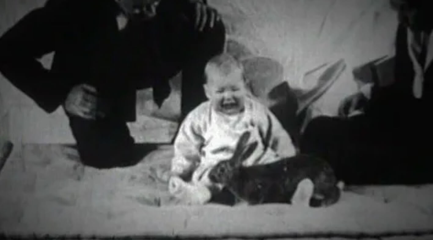 Как проходил опыт над малышом Альбертом. Ученые проводят эксперимент над Альбертом. Источник фотографии: wikimedia.org. Фото.