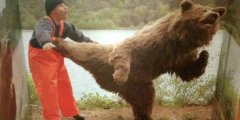 Россиянин подрался с медведем в тайге и выжил: невероятная история с Байкала. Фото.