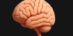 Врачи вытащили из мозга мужчины живого червя длиной 18 см: как он туда попал. Фото.