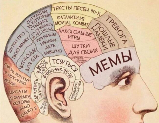 Как работает человеческая память: почему одни моменты запоминаются навсегда, а другие стираются за минуты. Фото.