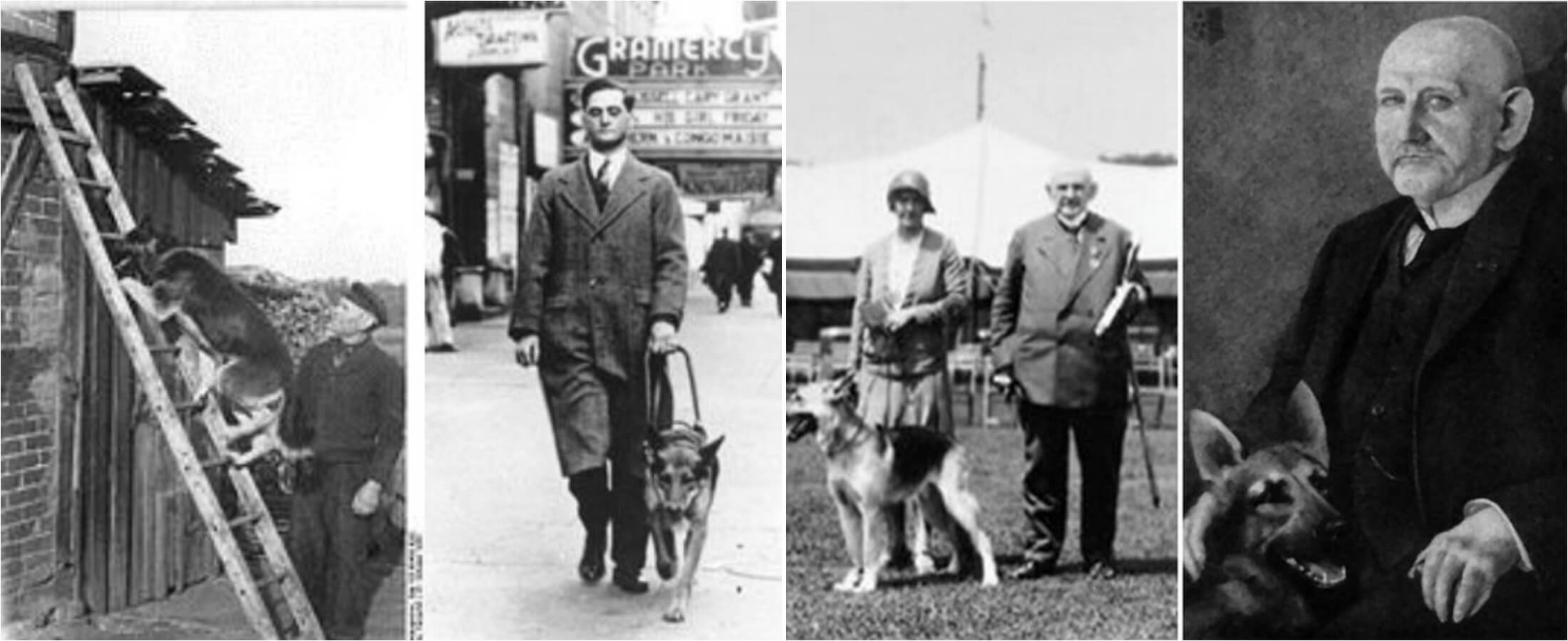 Макс фон Штефаниц. Источники изображений: eduken.in, zapovednik96.ru. Фото.