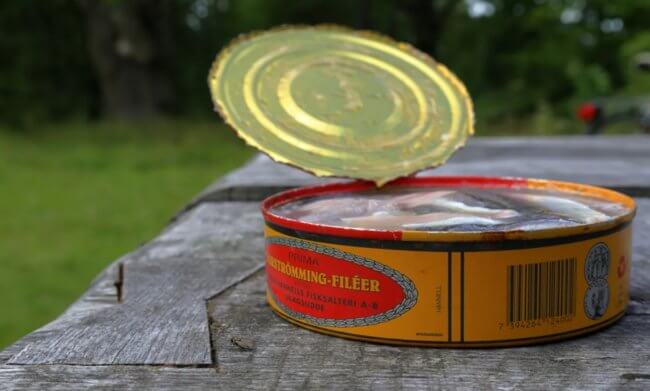 Почему люди едят самую вонючую рыбу сурстремминг, если от нее тошнит? Фото.