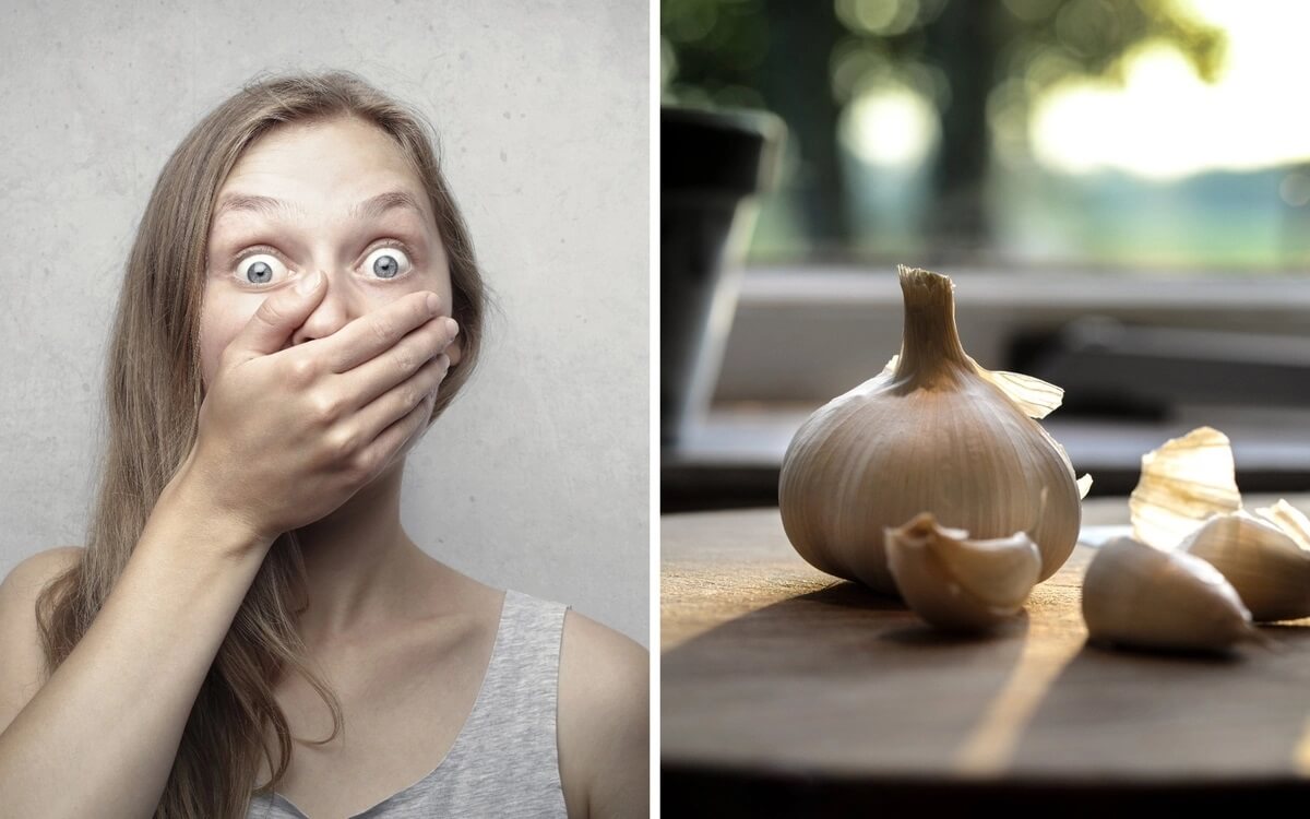 Откуда берётся стойкий запах чеснока. Чесночный запах держится так долго из-за аллилметилсульфида, который попадает в кровь и выходит через лёгкие и кожу. Источник изображения: ridus.ru. Фото.