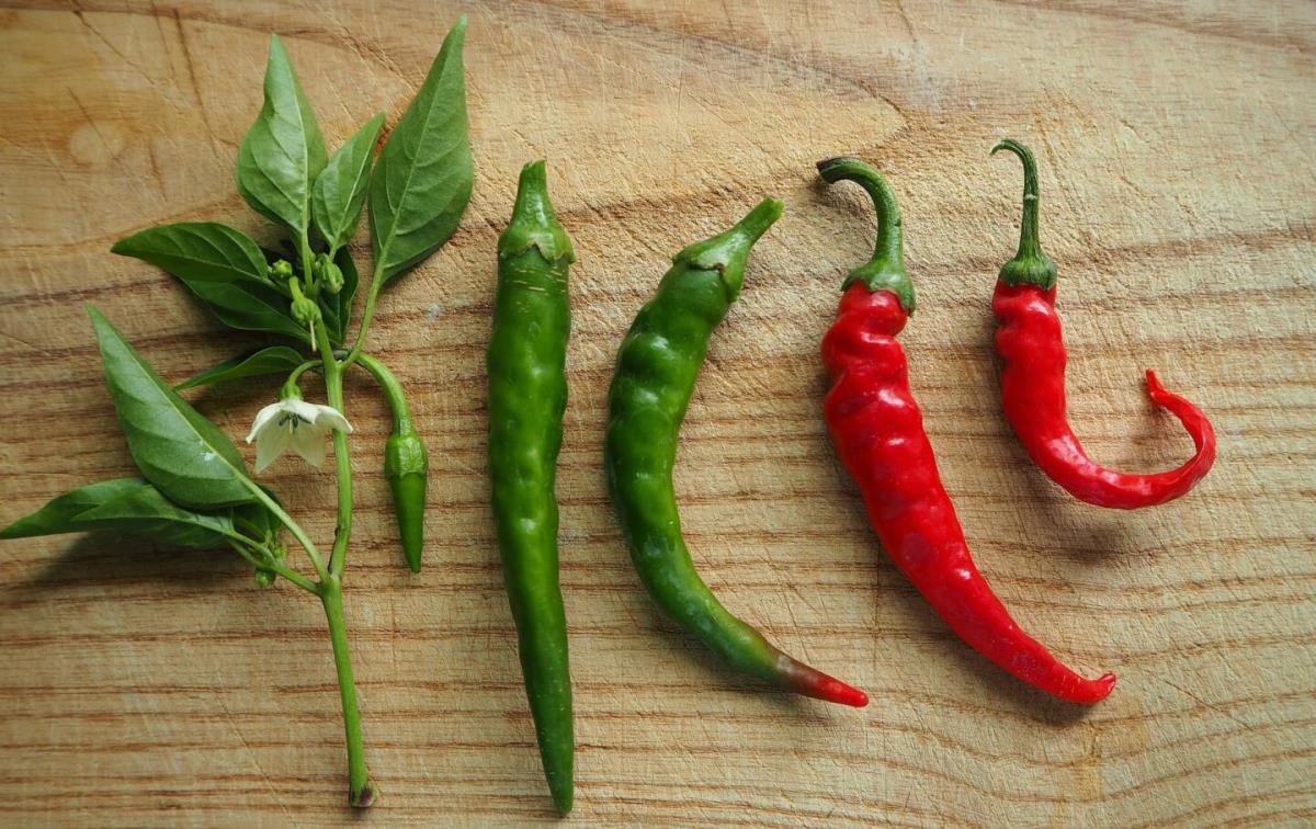 В остром перце жжение во рту вызывает вещество капсаицин. Фото.