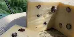 Почему сыр с муравьями стал хитом продаж: история нового деликатеса. Фото.