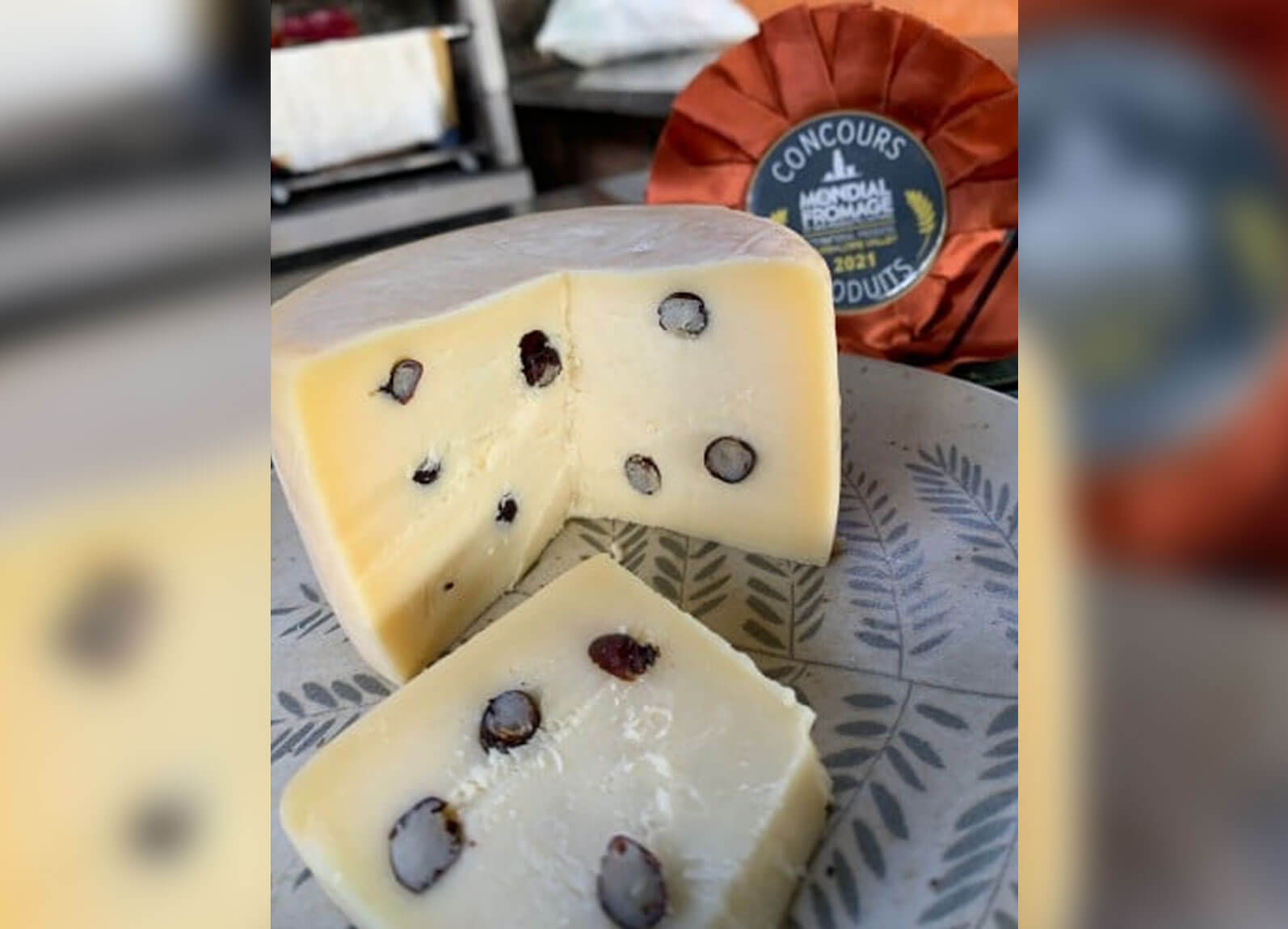 Еще одна фотография сыра с муравьями. Источник фотографии: odditycentral.com. Фото.