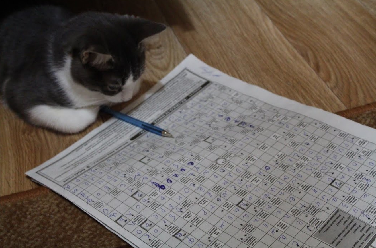 Кроссворды не сделают вас гением, но мозг точно станет более «гибким». Фото.