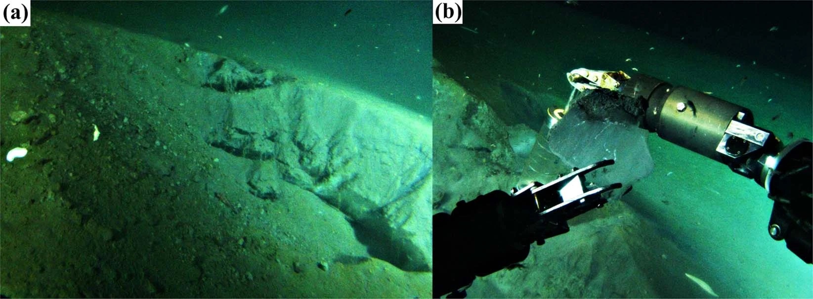Что находится на дне Байкала. Фотография обнажённых гидратов метана в озёрных отложениях (a) и фрагмента гидрата метана, удерживаемого манипулятором. (b) Показанный участок расположен в средней части озера Байкал, недалеко от грязевого вулкана «Санкт-Петербург», на глубине 1350 м. Источник изображения: nature.com. Фото.