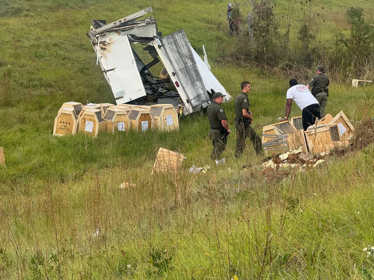 В США сбежали лабораторные макаки с гепатитом и коронавирусом В США сбежали лабораторные макаки с гепатитом и коронавирусом