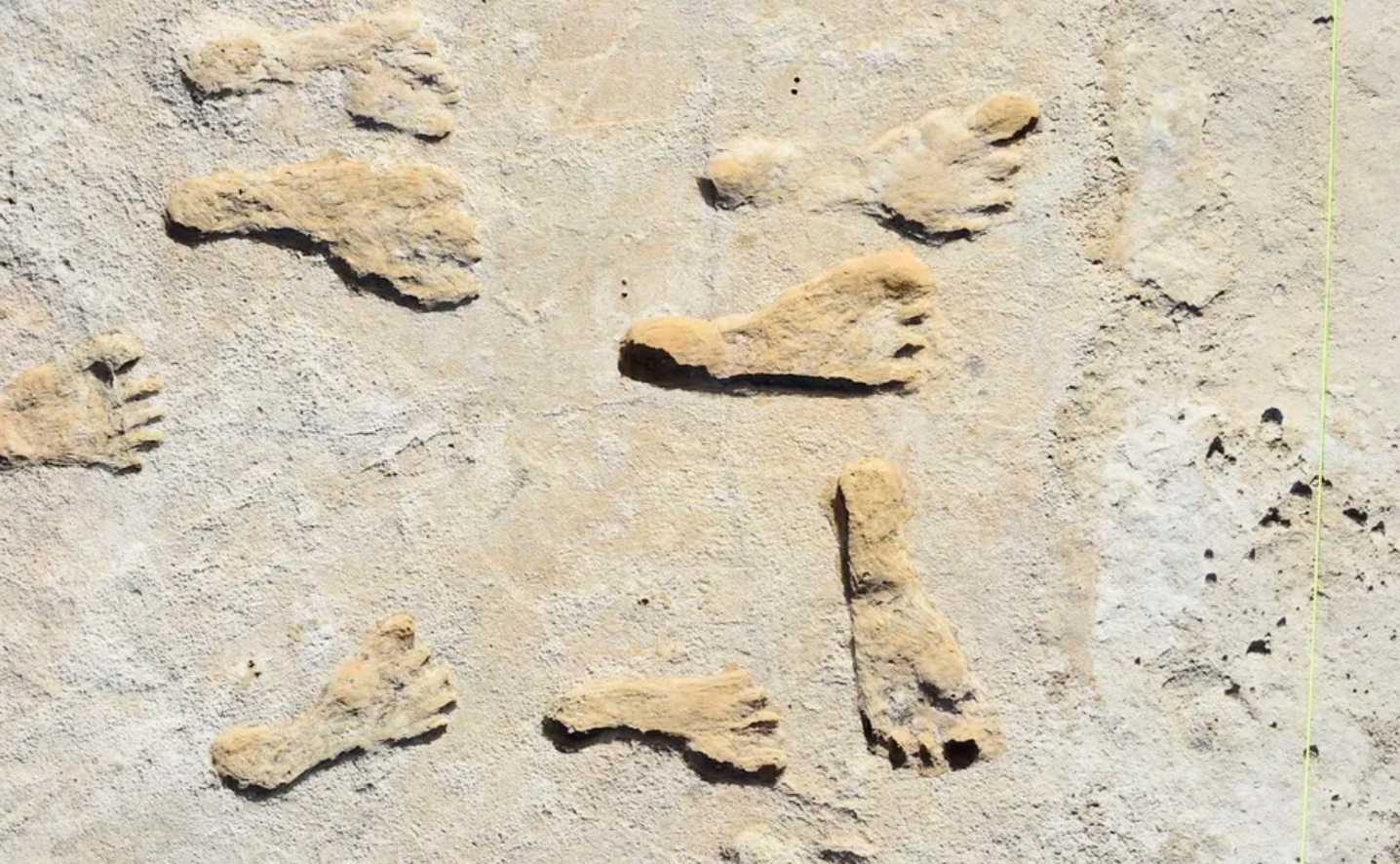 Когда появились первые люди в Америке. Окаменелые следы древних людей на американском континенте. Источник изображения: Live Science. Фото.