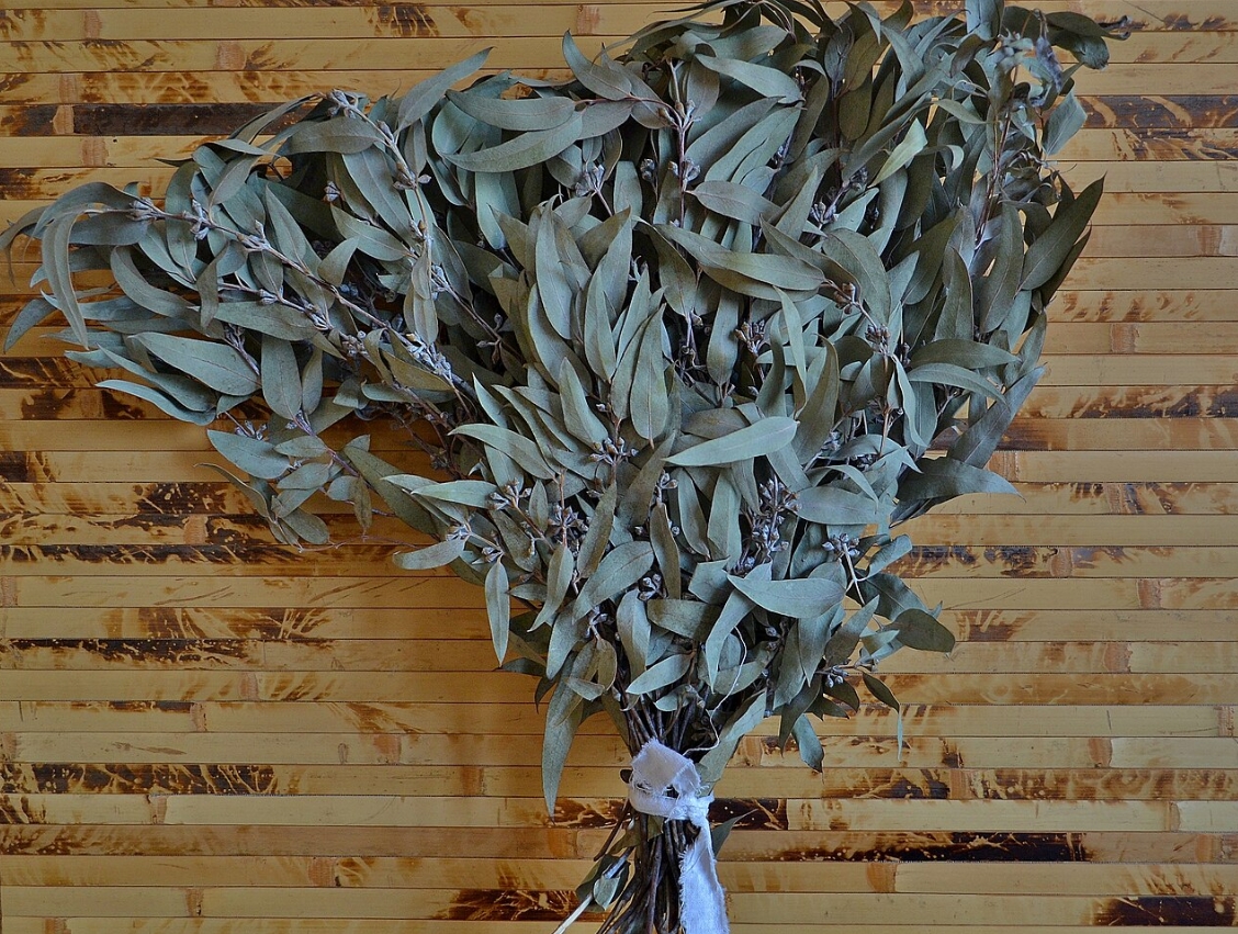 Как деревья вытягивают золото из земли. Не исключено, что в этом банном венике из эвкалипта есть микроскопическое золото. Источник фотографии: wikipedia.org. Фото.