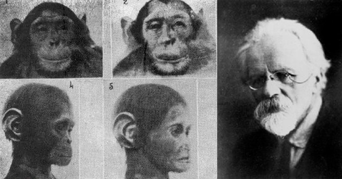 Идея скрещивания человека и обезьяны. Ученый пытался искусственно осеменить самок шимпанзе человеческой спермой, но беременность не наступила. Фото.