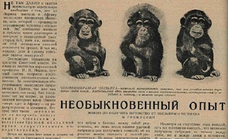 Попытка создать гибрид человека и обезьяны. Разумеется, об эксперименте Ильи Иванова писали в газетах. Источник изображения: dzen.ru. Попытка создать гибрид человека и обезьяны. Разумеется, об эксперименте Ильи Иванова писали в газетах. Источник изображения: dzen.ru. Фото.