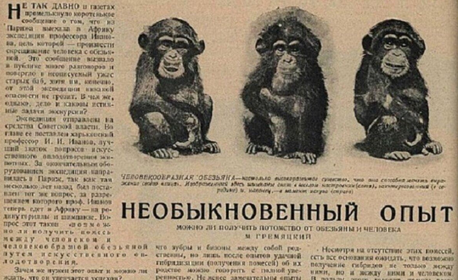 Попытка создать гибрид человека и обезьяны. Разумеется, об эксперименте Ильи Иванова писали в газетах. Источник изображения: dzen.ru. Фото.