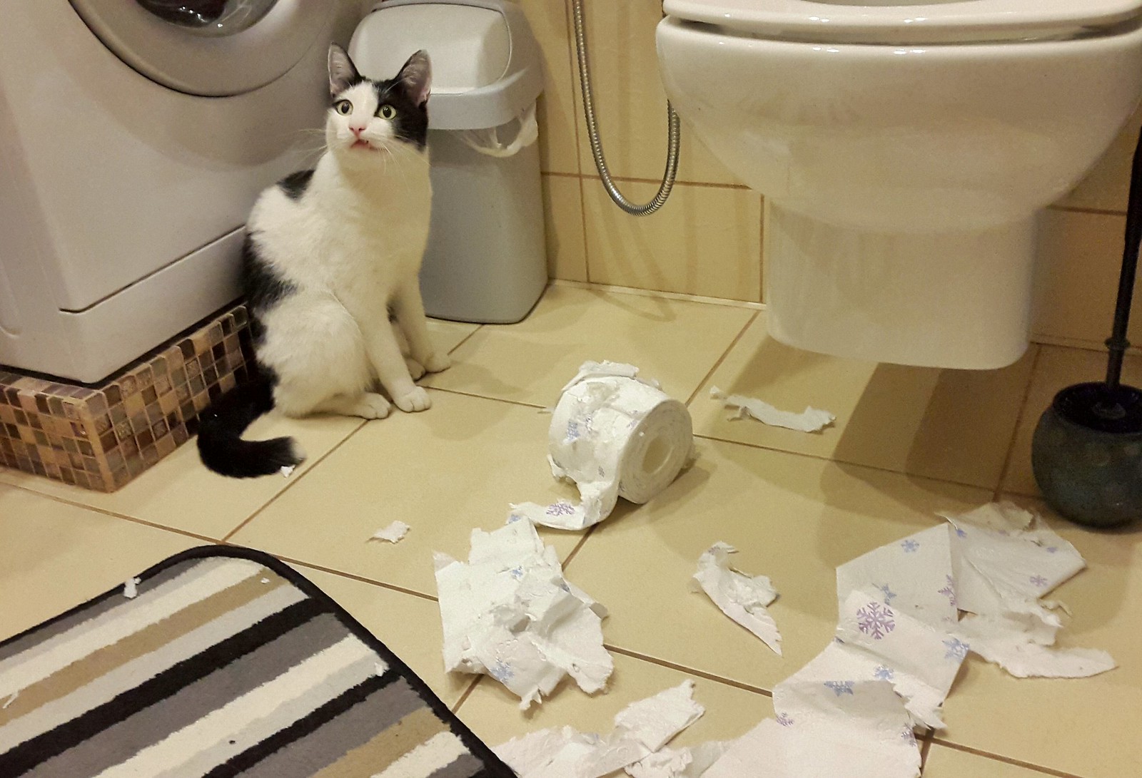 Большинство разногласий между нами и нашими питомцами — это скорее «языковой барьер», чем то, из-за чего кошки могли бы чувствовать себя виноватыми. Источник изображения: anrika.livejournal.com. Фото.