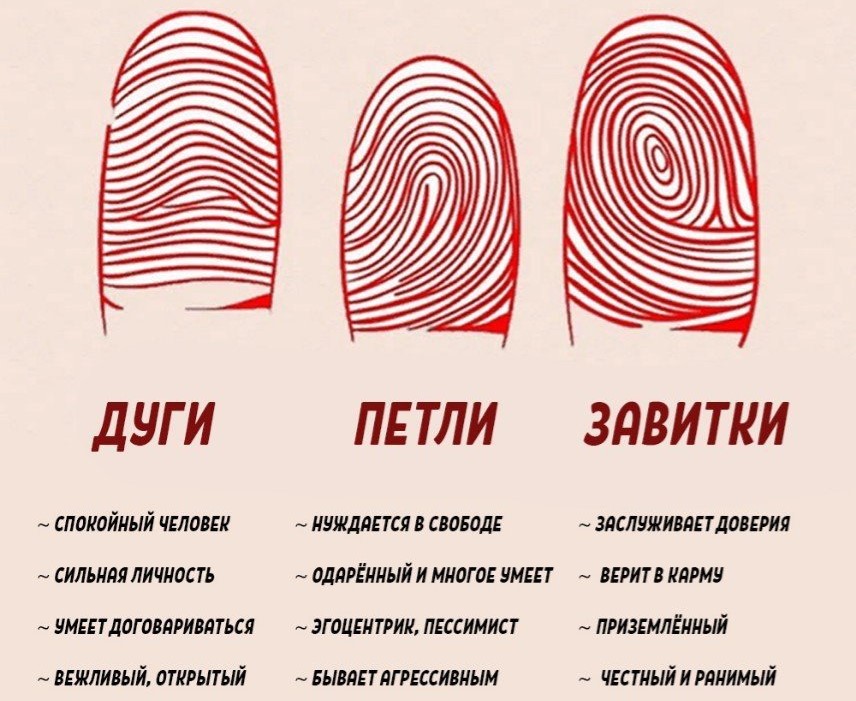 Можно даже найти источники, описывающие характер по отпечатку пальцев. Источник изображения: logoslab.ru. Фото.