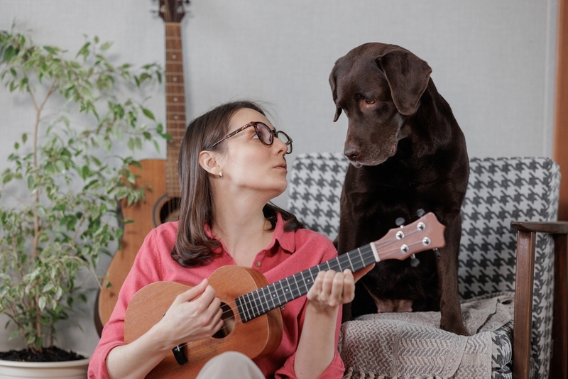 Почему собаки поют вместе с музыкой: эмоции и стресс. Если ваш пёс тянется «спеть» под любимую мелодию — возможно, перед вами настоящий артист, который хочет разделить момент. Источник изображения: petstory.ru. Фото.