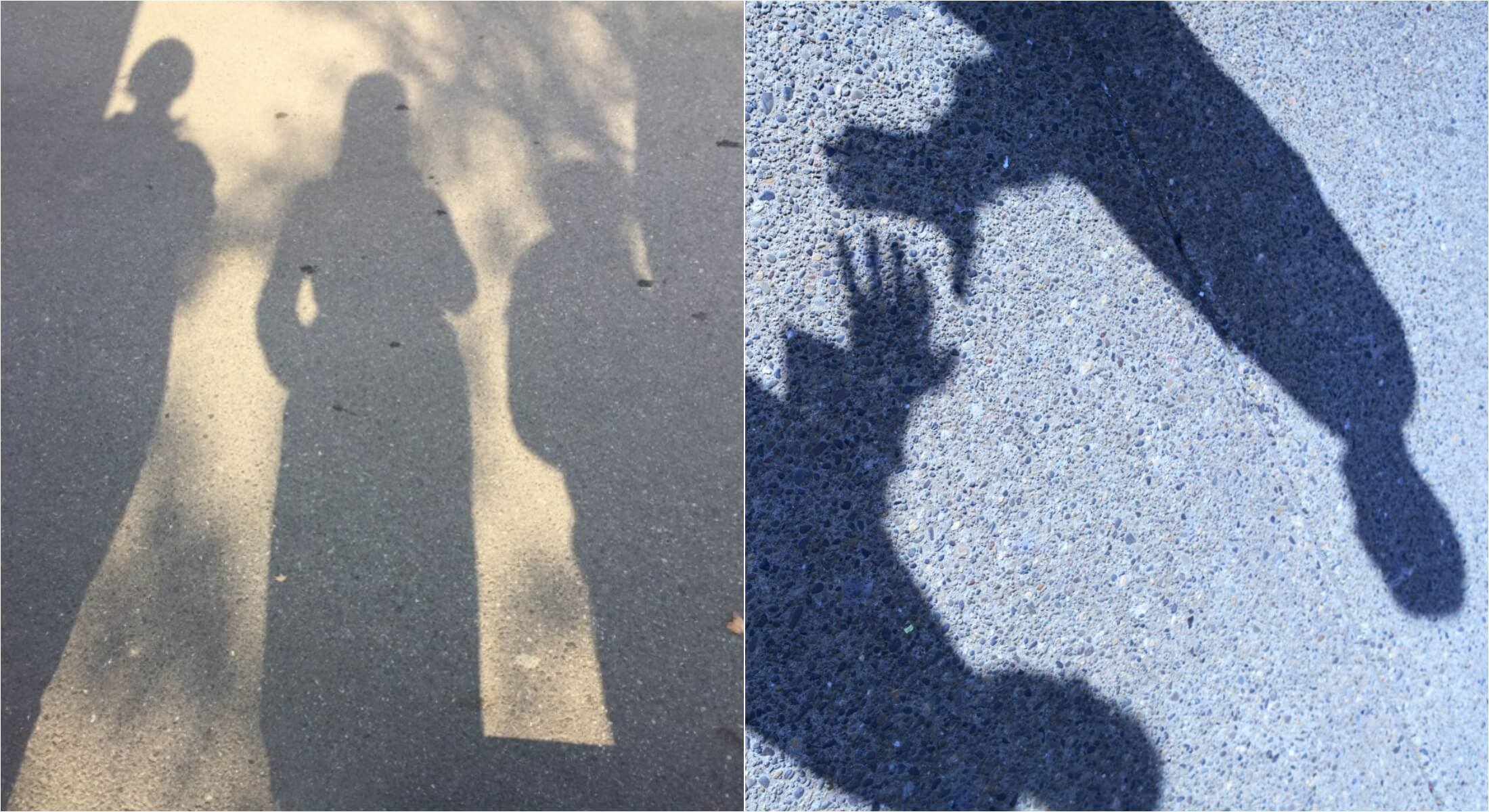 Почему наш глаз видит тень чёрной. Тень чаще кажется чёрной потому, что в ней мало света и наши колбочки не могут хорошо оценить цвет, но при определённых условиях тень может иметь явный цвет. Источник изображения: mylot.com, shazam.com. Фото.