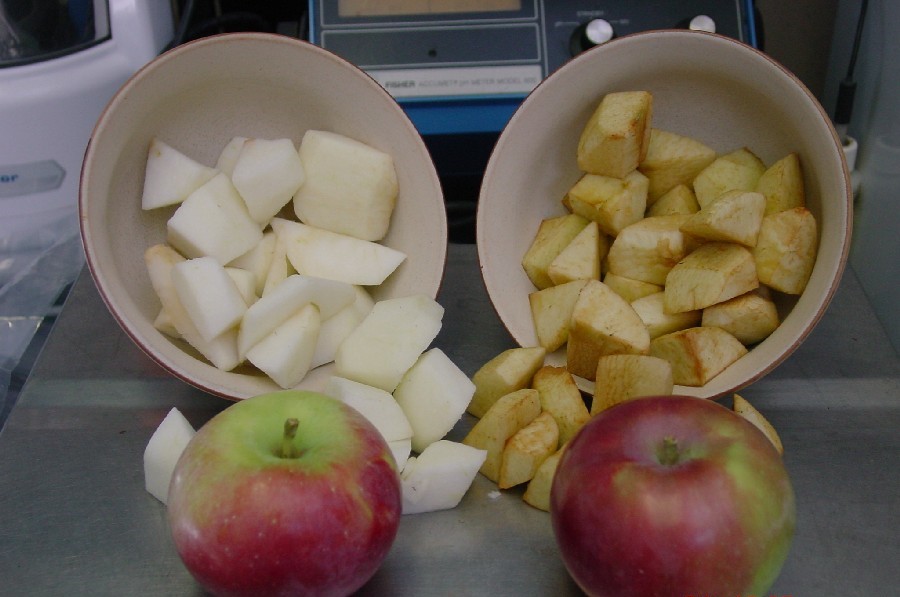 Почему яблоки темнеют: простое объяснение. По скорости потемнения можно судить не о богатстве железом яблока, а о соотношении полифенолов, ферментов и кислотности. Источник изображения: meiosis.co.uk. Фото.