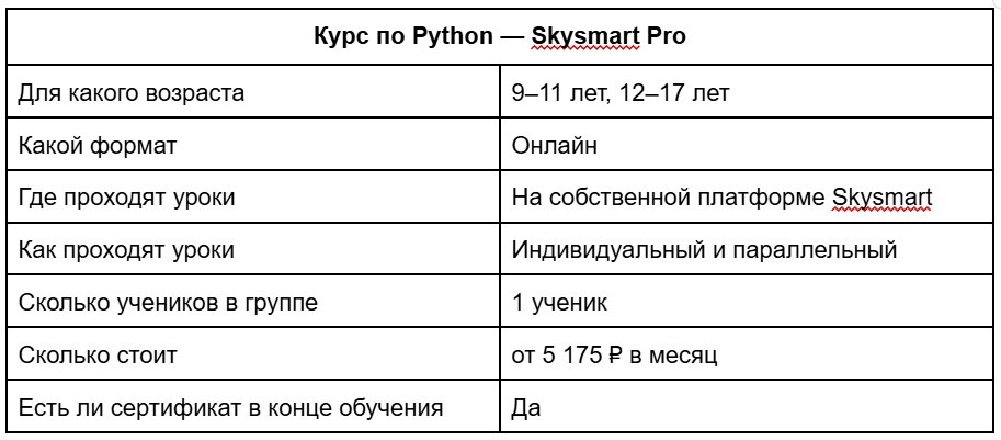 Курс по Python — Skysmart Pro. Особенности обучения в SkySmart Pro. Фото.