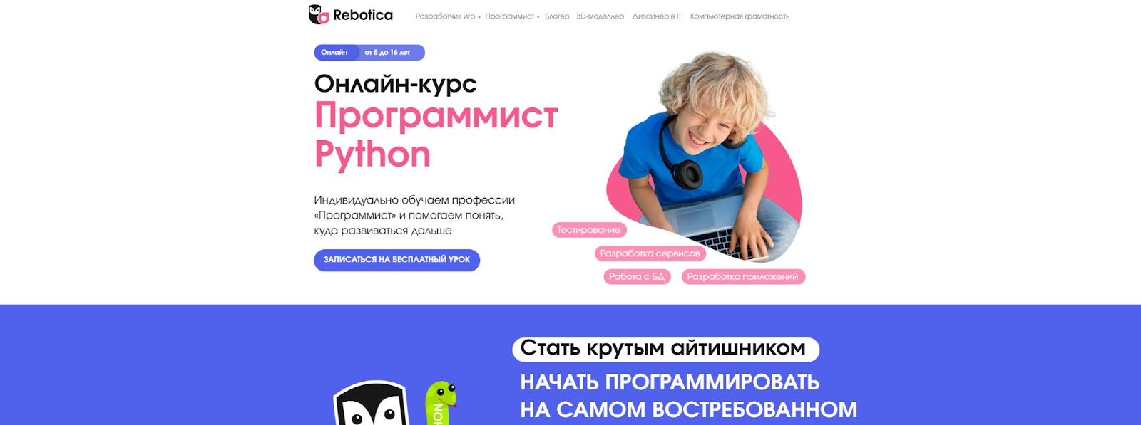 Программист Python — Rebotica. В Rebotica вас ждёт качественное образование. Фото.