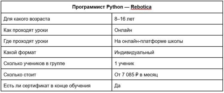 Программист Python — Rebotica. Особенности обучения в Rebotica. Фото.