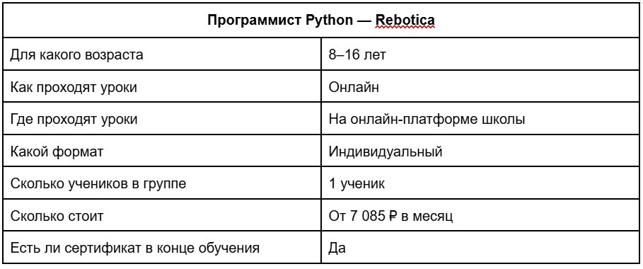 Программист Python — Rebotica. Особенности обучения в Rebotica. Фото.