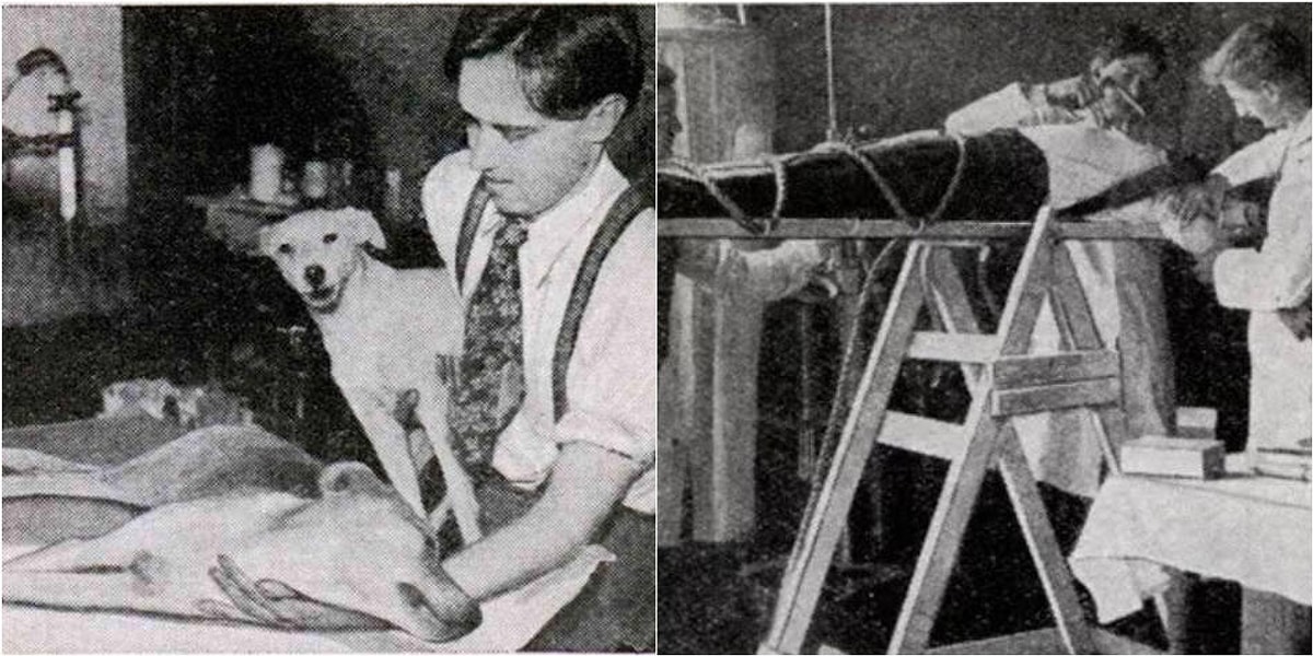 Эксперименты Роберта Э. Корниша по воскрешению на собаках и умерших людях. Источник изображения: onedio.com. Фото.