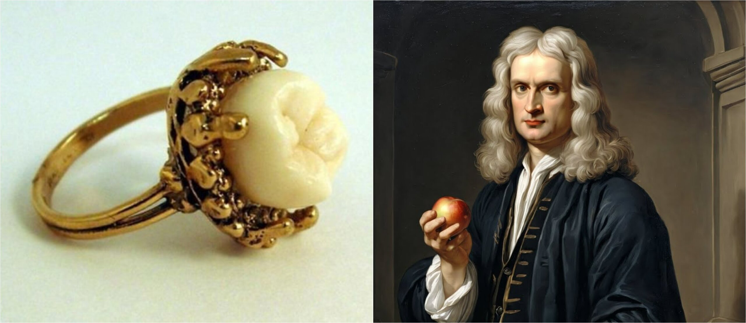 Как зуб Ньютона превратился в сокровище. Люди всегда стремились быть ближе к великим — даже буквально. История этого зуба — пример того, как человечество поклоняется разуму почти как святыне. Источники изображений: guinness-records.net, dishcuss.com. Как зуб Ньютона превратился в сокровище. Люди всегда стремились быть ближе к великим — даже буквально. История этого зуба — пример того, как человечество поклоняется разуму почти как святыне. Источники изображений: guinness-records.net, dishcuss.com. Фото.