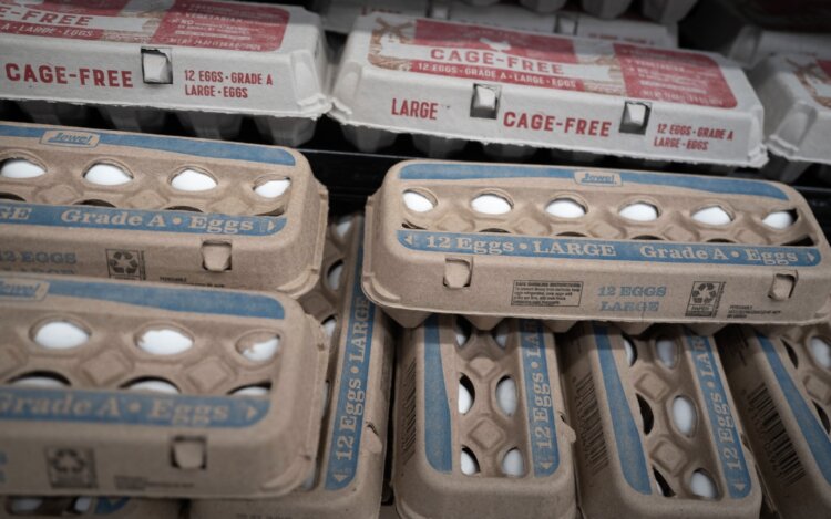 Как отличить настоящее яйцо от поддельного. К счастью, в российских магазинах искусственные яйца еще не обнаруживались. Источник фотографии: msn.com. Фото.